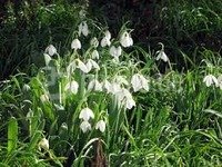 Unser erstes Bücherpicknick des Jahres im frischen Januar :-)