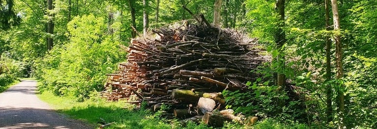 Das gestapelte Holz
beginnt auszutrocknen
und zu wispern. (...)
Ich frage dich,
welchen Sommer haben wir 
und welches Frühjahr ist uns ohne Nachlaß vergangen?