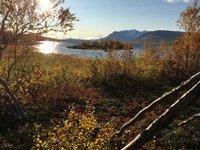 Torsten Schäfer: Die Wildnis in uns