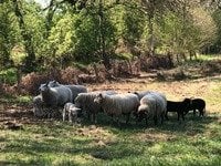 Literarische Wanderung
