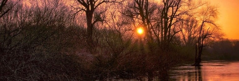 Wie muß der Tag sich neigen
Im Winter, ach, so bald;
Ein tiefes, mildes Schweigen
Liegt über Flur und Wald.