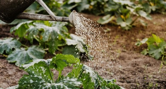 für Gartenliebhaber