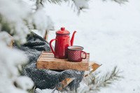 Bücherpicknick in der Weihnachtszeit