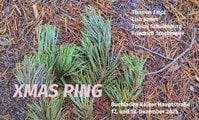 Pop up XMAS PING mit der parasitenpresse 2025