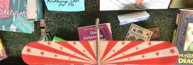 Modellflugzeug von oben