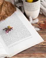 Unsere Leselust-Empfehlungen für den Herbst und Winter
