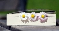 Buchvorstellung auf dem Rauhen Kapf