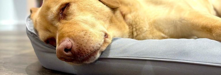 Von 12. bis 19. Januar 2026 hat das Bücherglück geschlossen.
Ab 20. Januar 2026 sind wir wieder für Euch da.