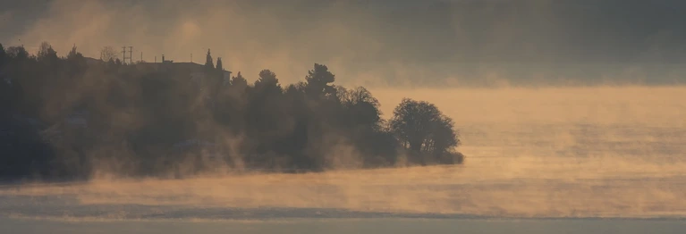 Nebel zaubern in der Lichtung
eine Welt des Ungefährs.
Raum wird Traum. Und Rauch wird Dichtung.
Folge der Zeit. Sie weiß die Richtung.
"Stirb und werde!" nannte er's.
Erich Kästner