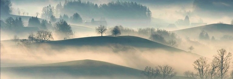 Nebel zaubern in der Lichtung
eine Welt des Ungefährs.
Raum wird Traum. Und Rauch wird Dichtung.
Folg der Zeit. Sie weiß die Richtung.
"Stirb und werde!" nannte er's.
Erich Kästner