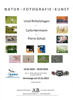 NATUR FOTOGRAFIE KUNST