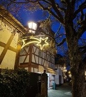 Lebendiger Adventskalender