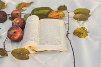 Unsere Leselust Buchempfehlungen für Herbst/Winter 2026