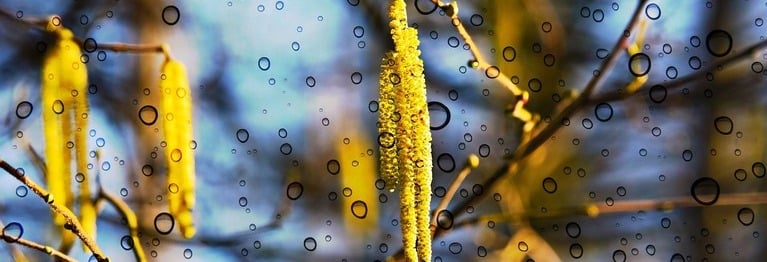 Nordwind bläst. Und Südwind weht.
Und es schneit. Und taut. Und schneit.
Und indes die Zeit vergeht,
bleibt ja doch nur eins: die Zeit.