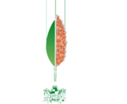 Logo von 'Meister-Brot Bäckerei Schorner'