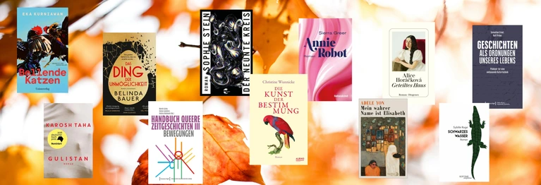 Frisch eingetroffen, neu entdeckt, heiß empfohlen: unsere aktuellen Buchtipps für den Herbst.