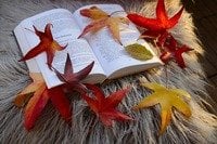 Unsere Novitäten - Empfehlungen für Herbst/Winter 2025