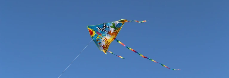 ... wer hoch steigen will, muss es gegen den Wind tun.

Aus China