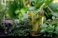 Kräuter-Abend mit Christina Riedel