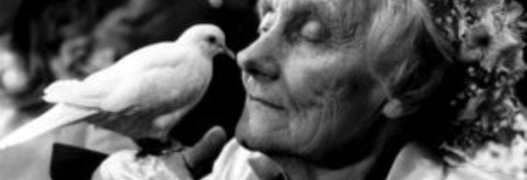 Unser Astrid Lindgren Fest & 80. Geburtstag PIPPI LANGSTRUMPF Samstag 17.Mai 14 – 18 Uhr

Seid herzlich eingeladen zum jährlichen Astrid Lindgren Fest. In diesem Jahr feiern wir mit euch besonders den 80. Geburtstag von Pippi  Langstrumpf. Tack så mycket an IKEA Pankow für die Überraschungsgaben.