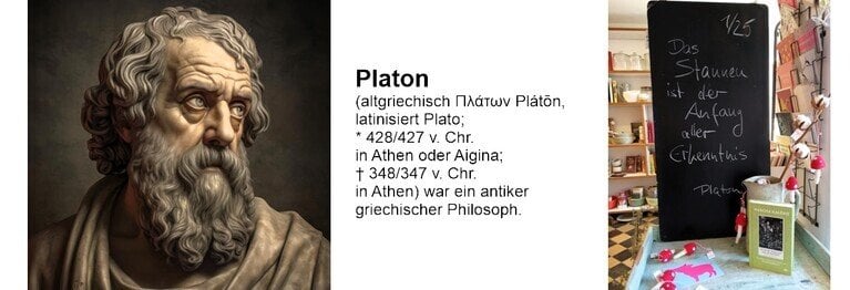 Spruch Monat Januar 2025 Das Staunen
 ist der Anfang 
aller Erkenntnis.

Platon