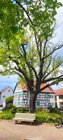 LESEN MIT KINDERN - Königstädter Gute-Seiten-Entdecker