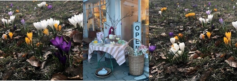 Kommen Sie vorbei! Wir beraten Sie gerne.

Ihr Buchladen-Team