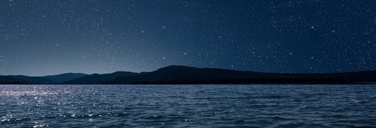 Nachts beim Schwimmen über den See der Augenblick/Der dich in Frage stellt Es gibt keinen anderen mehr/Endlich die Wahrheit Daß du nur ein Zitat bist/Aus einem Buch das du nicht geschrieben hast (...)
H. Müller  (1929-1998)