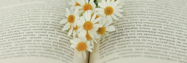 Aufgeblättertes Buch mit Gänsenblümmchen in der Mitte
